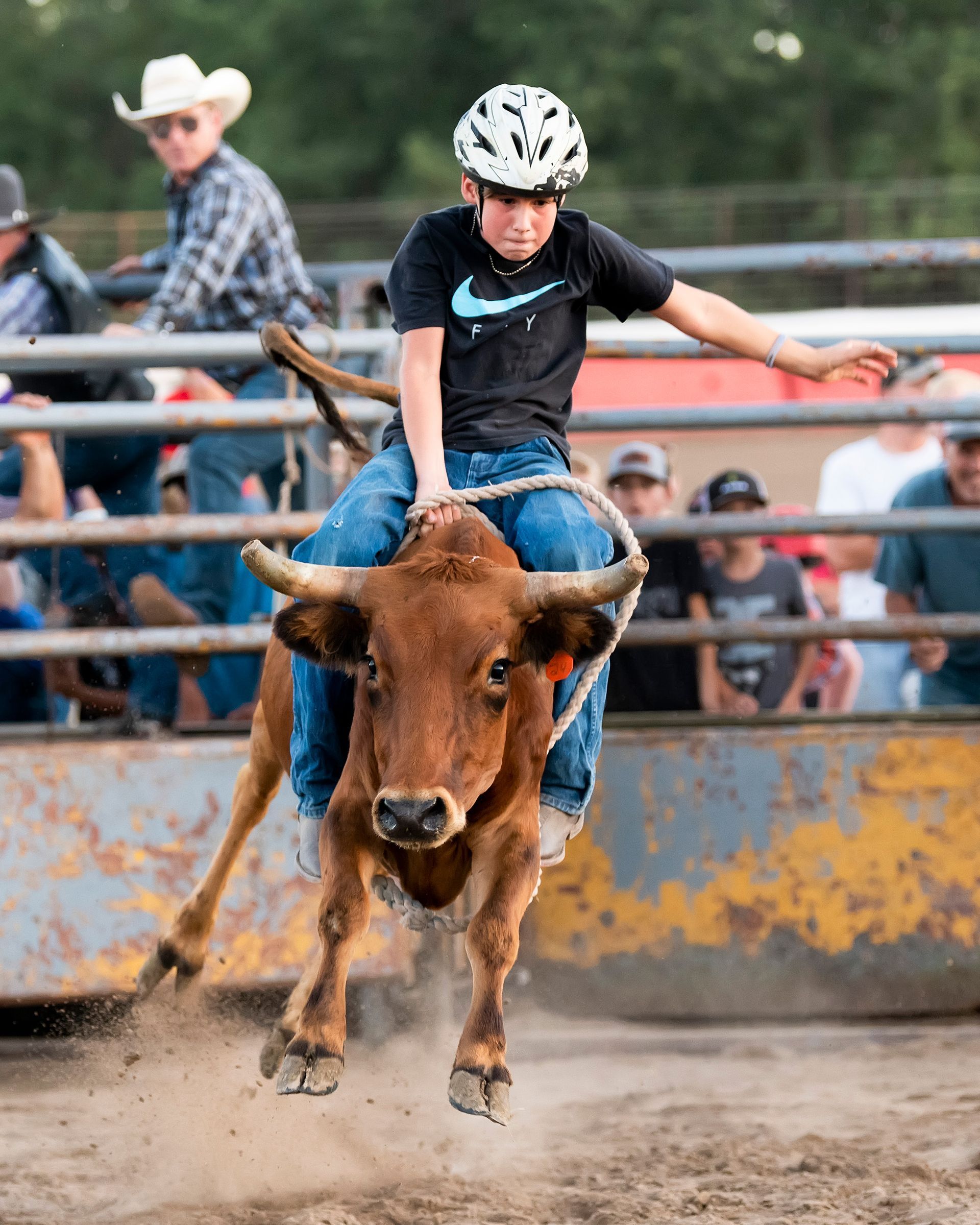 A young boy is riding a bull in a rodeo.