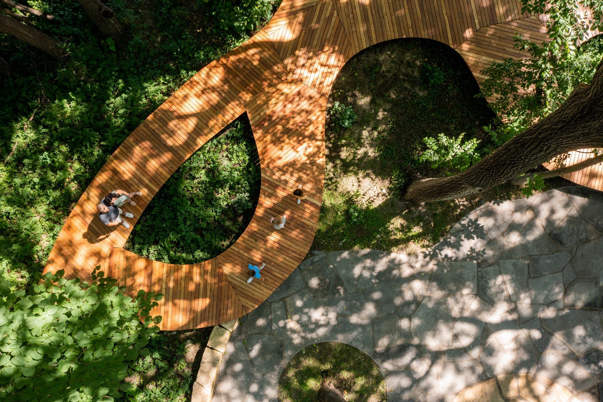 An aerial view of a wooden walkway in the middle of a forest.