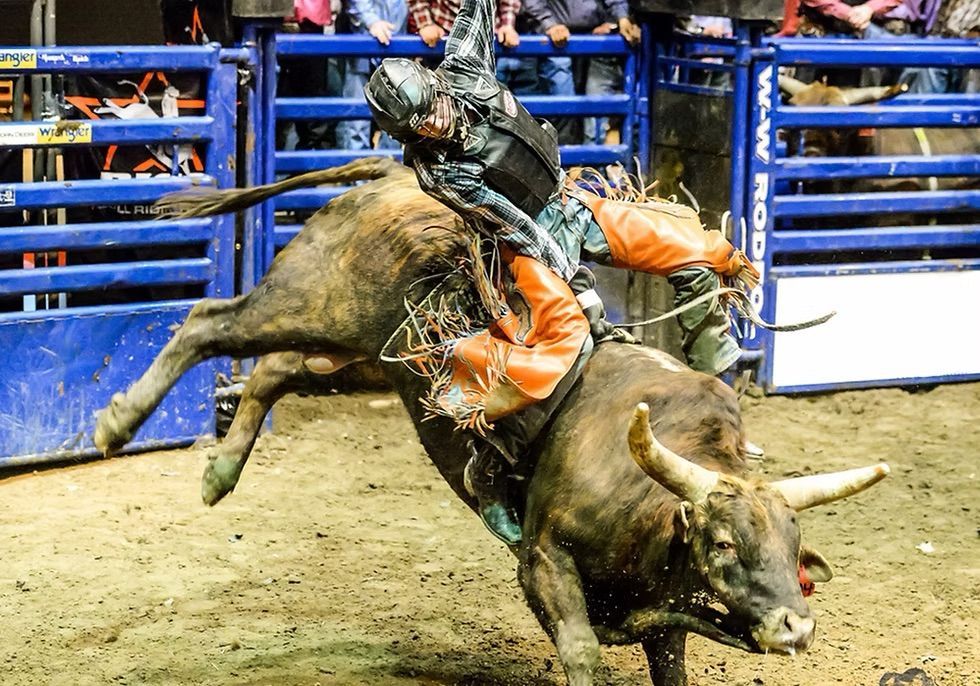 A man is riding a bull in a rodeo arena.