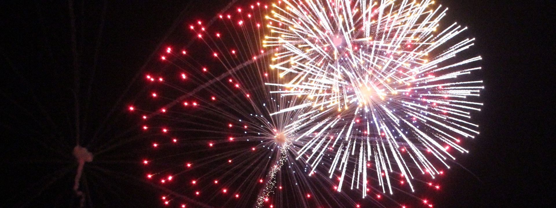 A close up of a fireworks display in the night sky