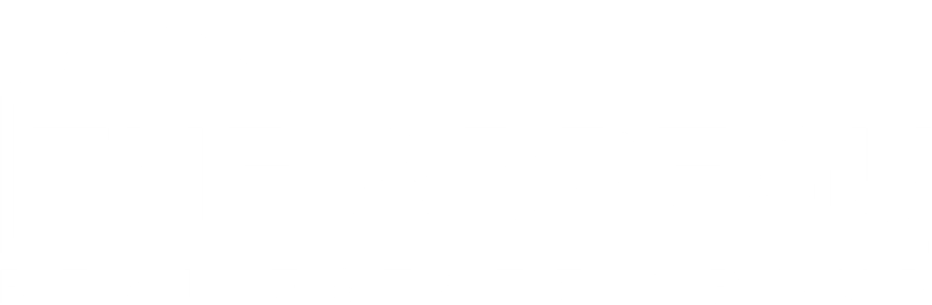 Light Logo