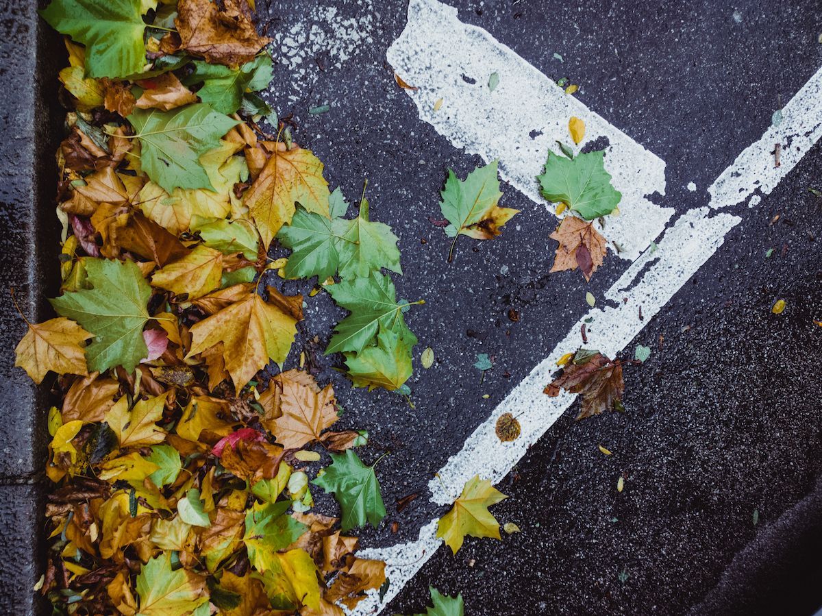 Which Season Is Best for Laying New Asphalt? Get More Paving Information in Mid-MO With MoSEAL.
