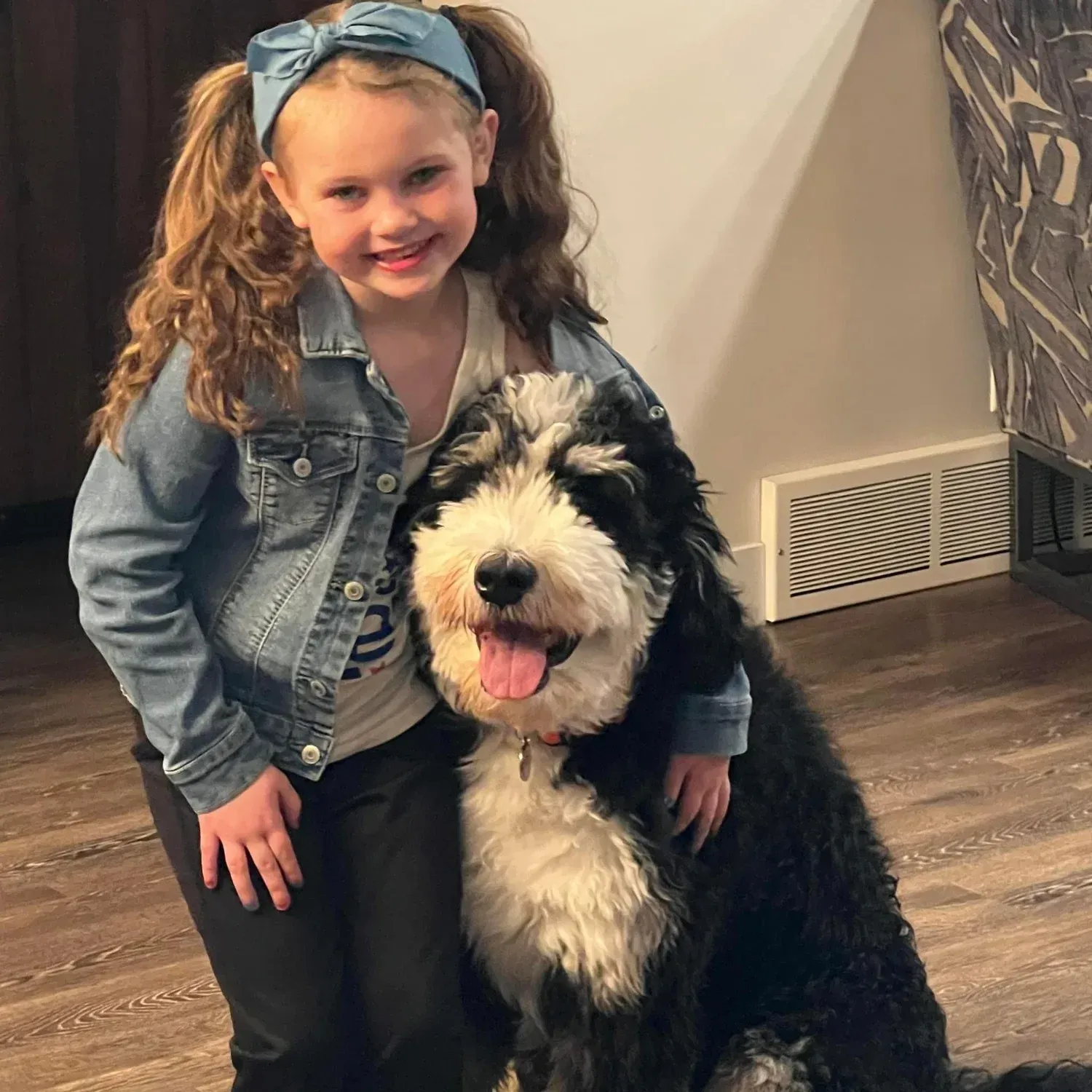 Girl with pigtails hugs a large black and white dog, both smiling indoors.