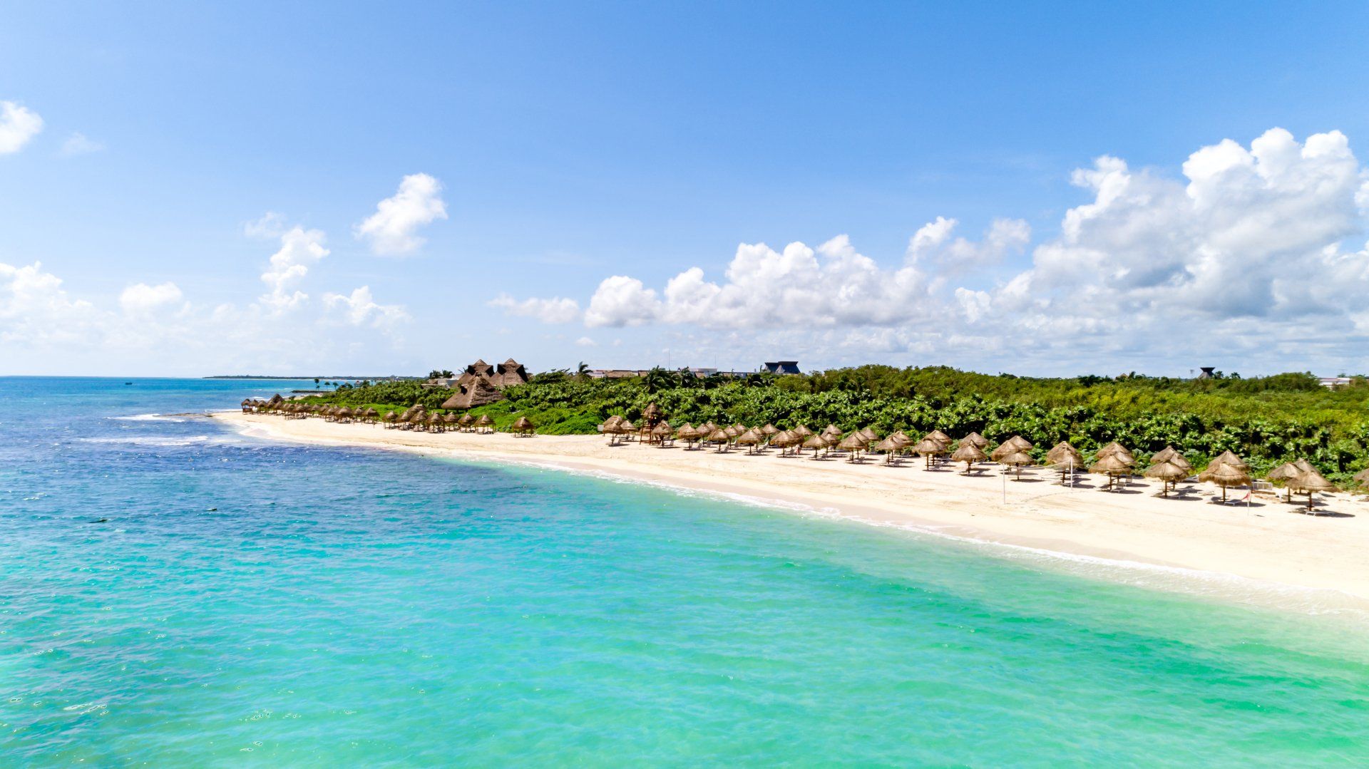 Una vista aérea de una playa tropical con sombrillas y palmeras.