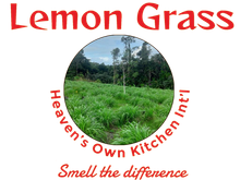 Lemon Grass | United States | 610-931-0653