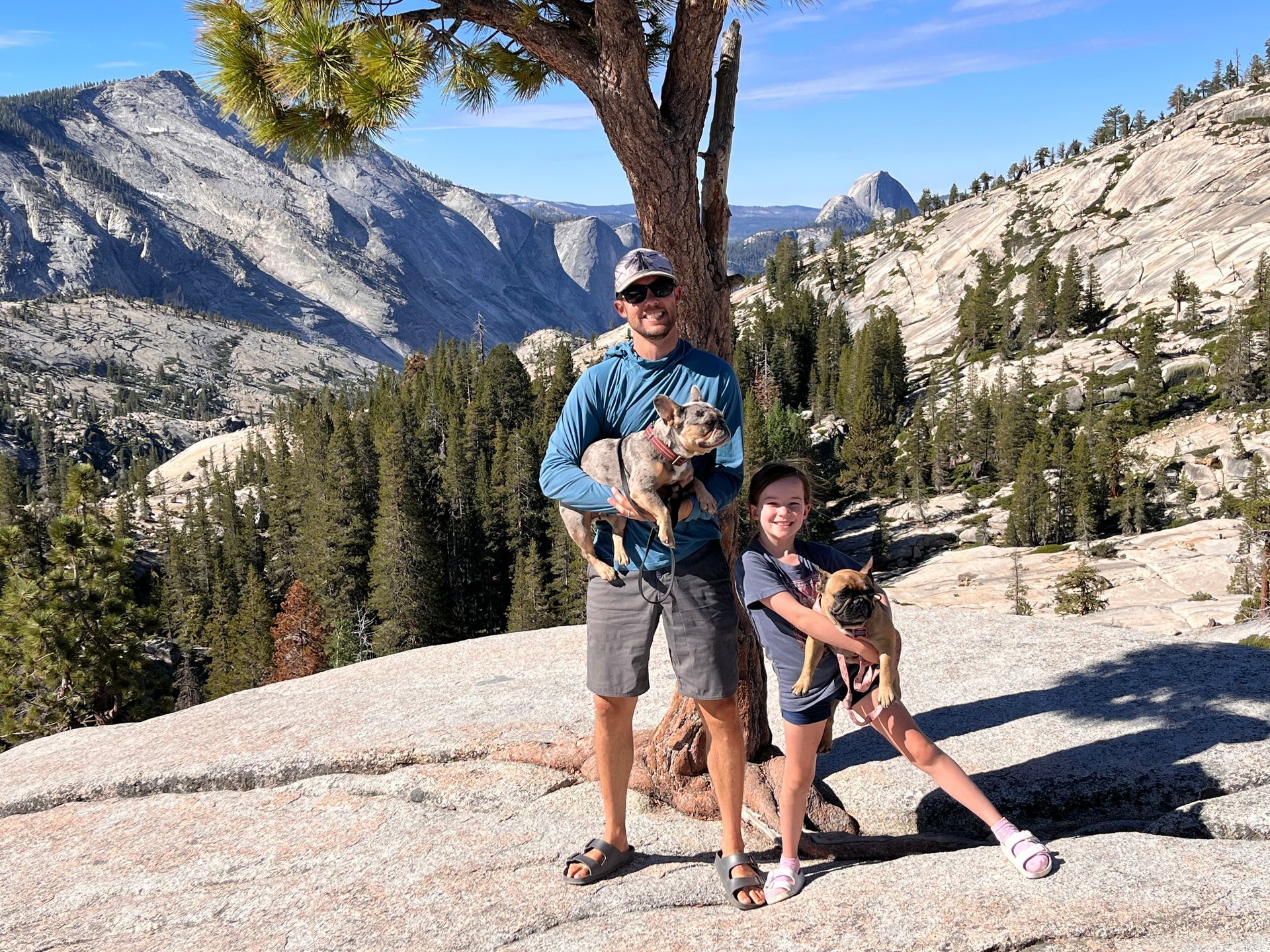 A man and a girl are posing for a picture in the mountains with their dogs.