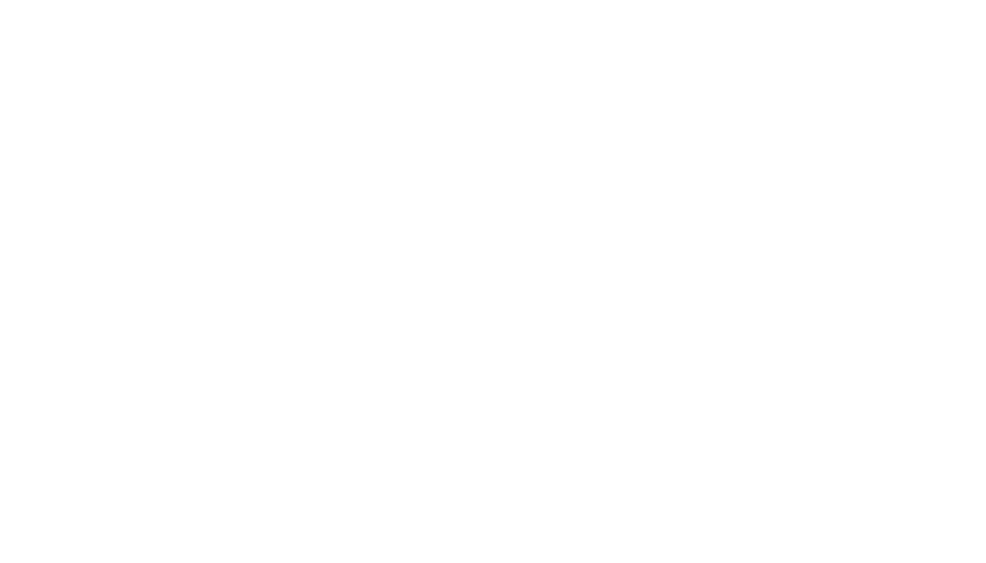 The Elkins Agency