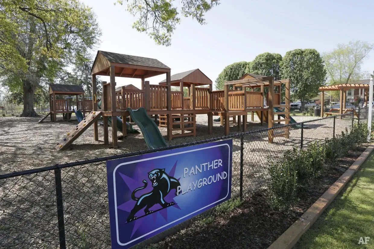 Panther playground