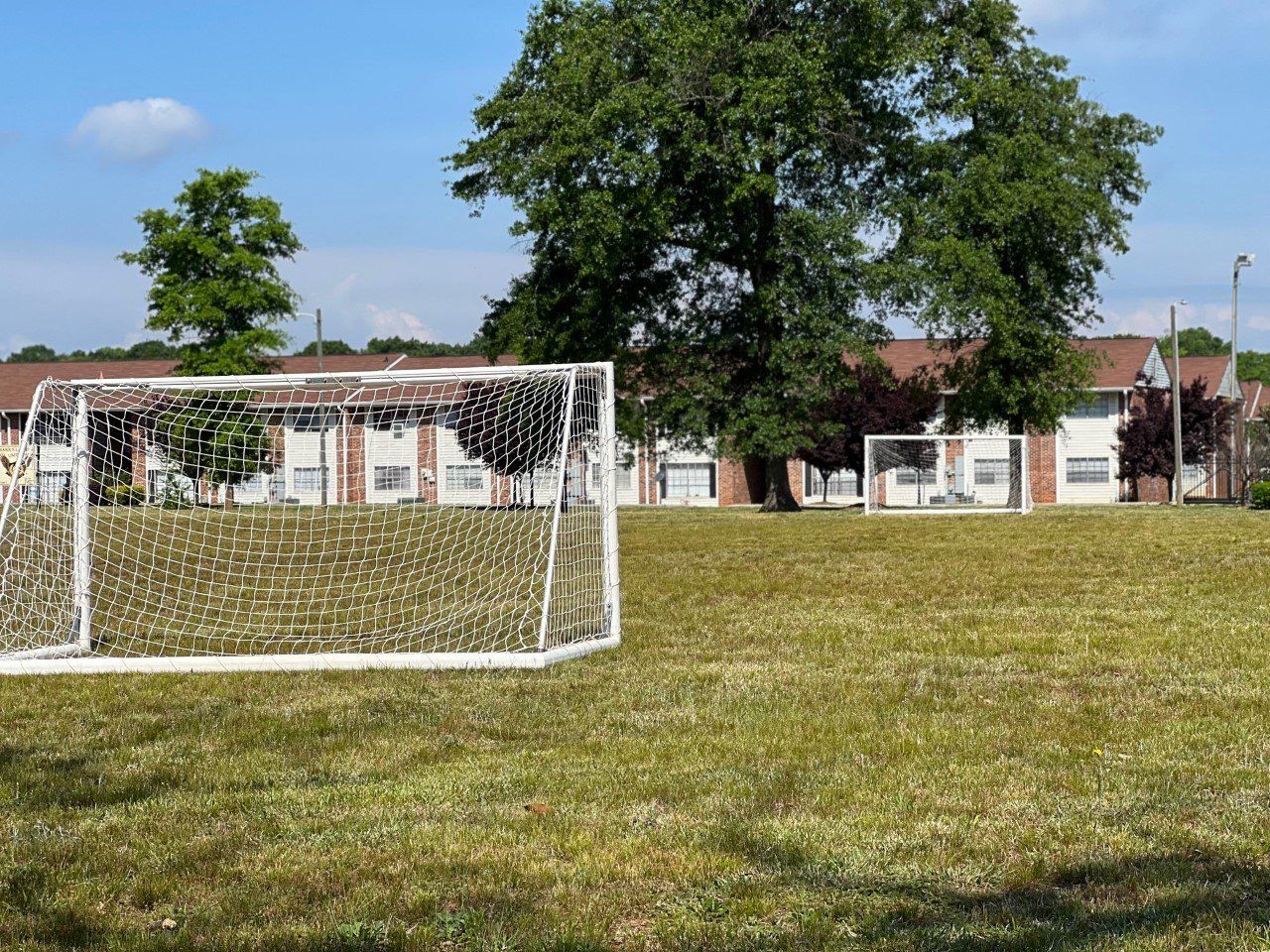 Grass Soccer field