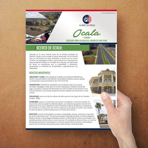 PORTFOLIO - INFORMATIONAL FLYER