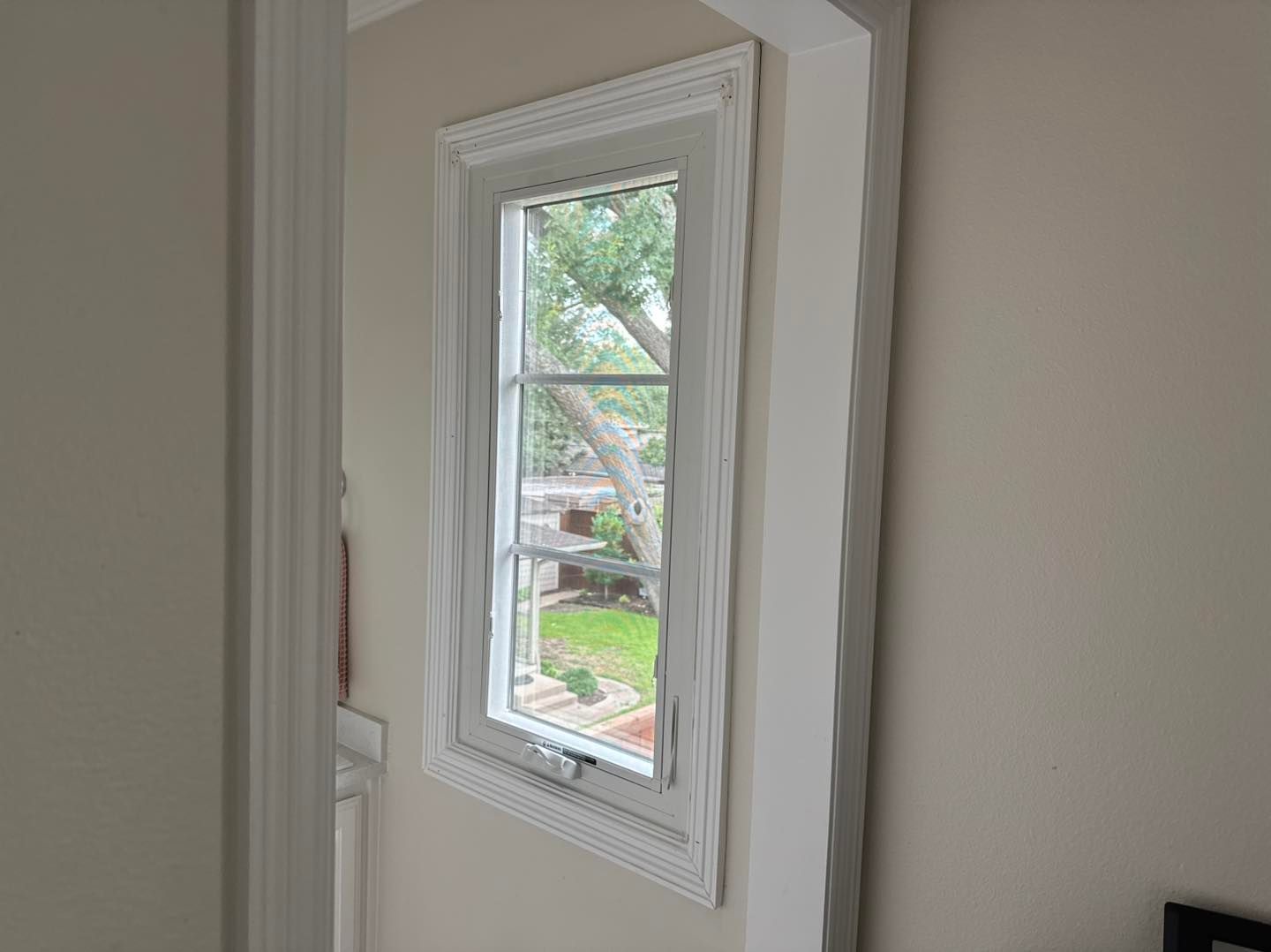 A white window with a view of a tree in a room.