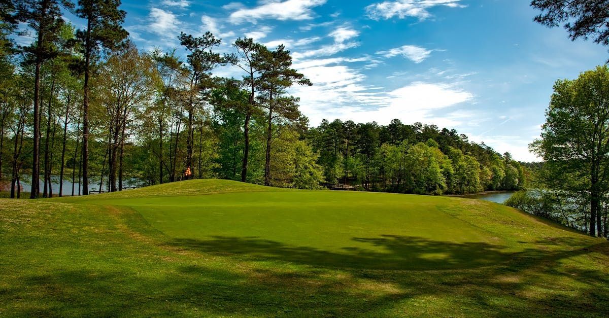 A golf course with trees and a lake in the background.
