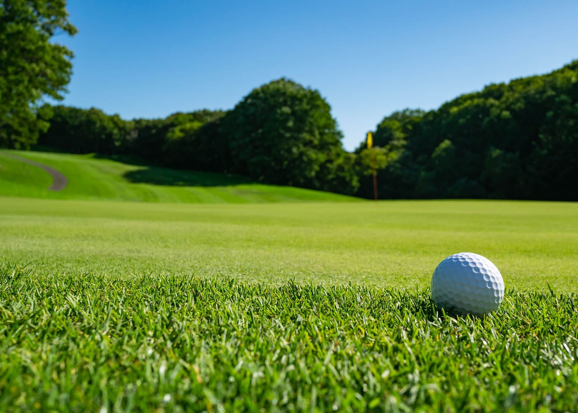 Golf ball on pristine bentgrass green with smooth, healthy turf.