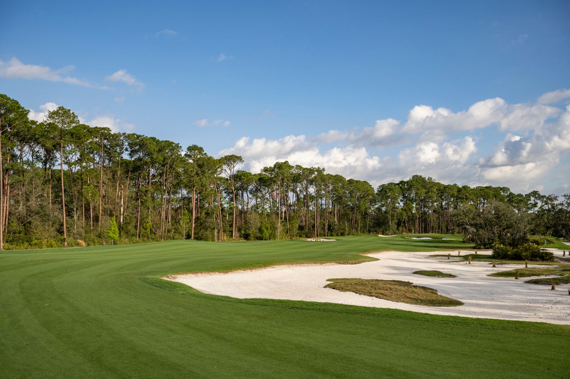 Scenic view of a championship-level golf course in peak condition.