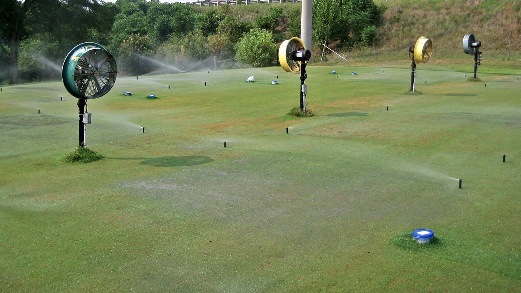 Cooling fans and careful water management during hot, humid summers can reduce soil temperatures and maintain healthier turf roots.