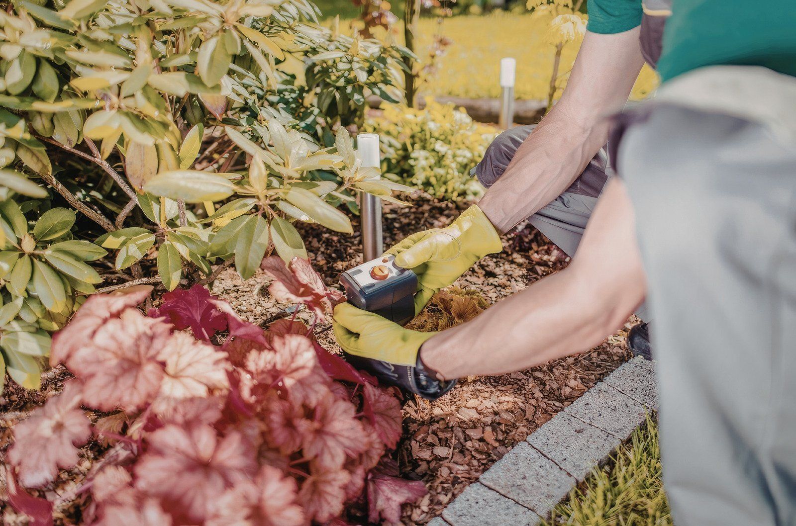 A person wearing yellow gloves uses a handheld tool to plant or adjust lighting in a garden bed with flowers and mulch.