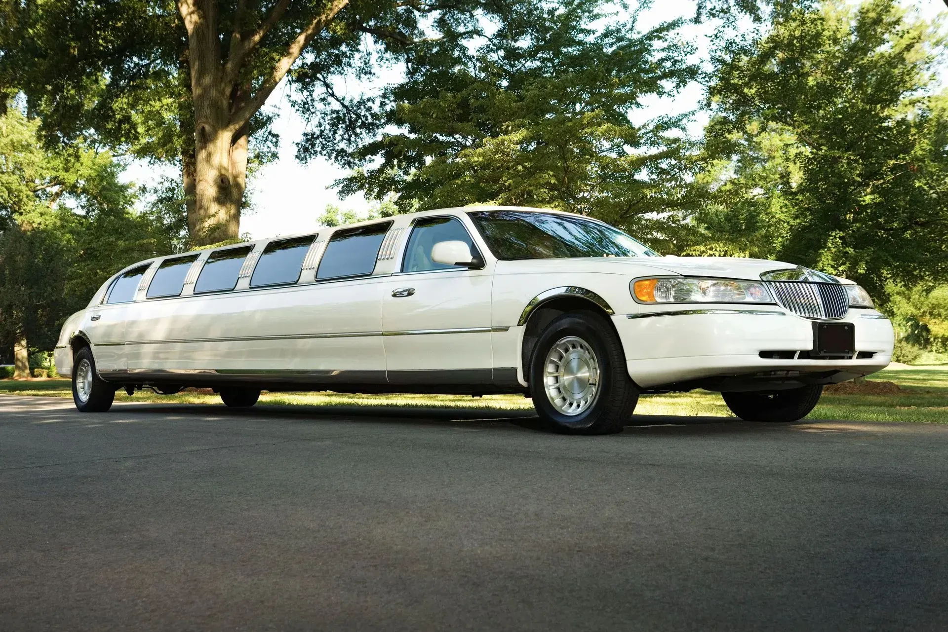 White limousine parked on a paved road, daytime.