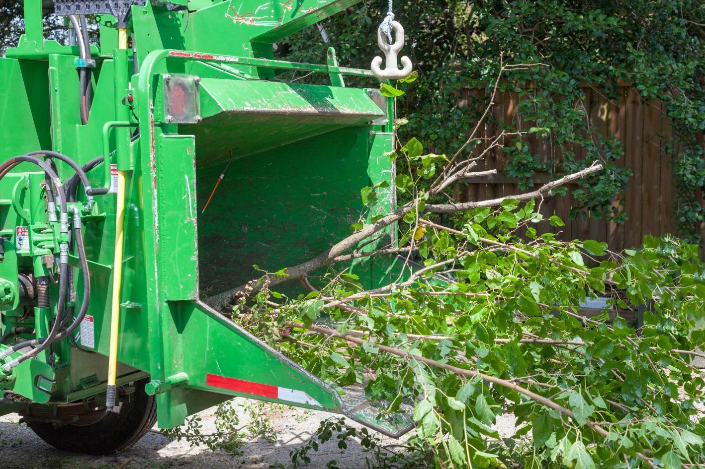 Professional tree service machine and vehicle.