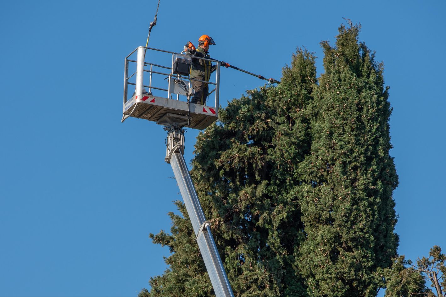 A tree surgeon pruning a tree for a customer in Bournemouth and Poole.