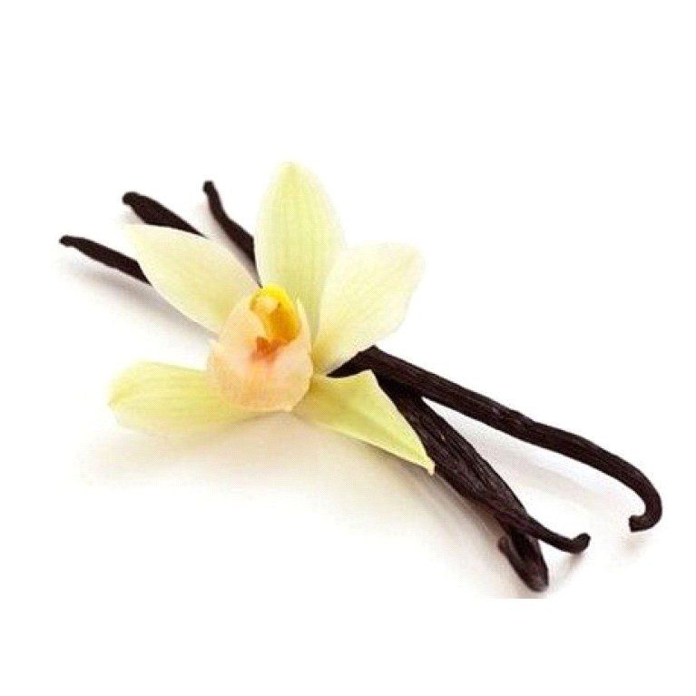 una bacca di vaniglia