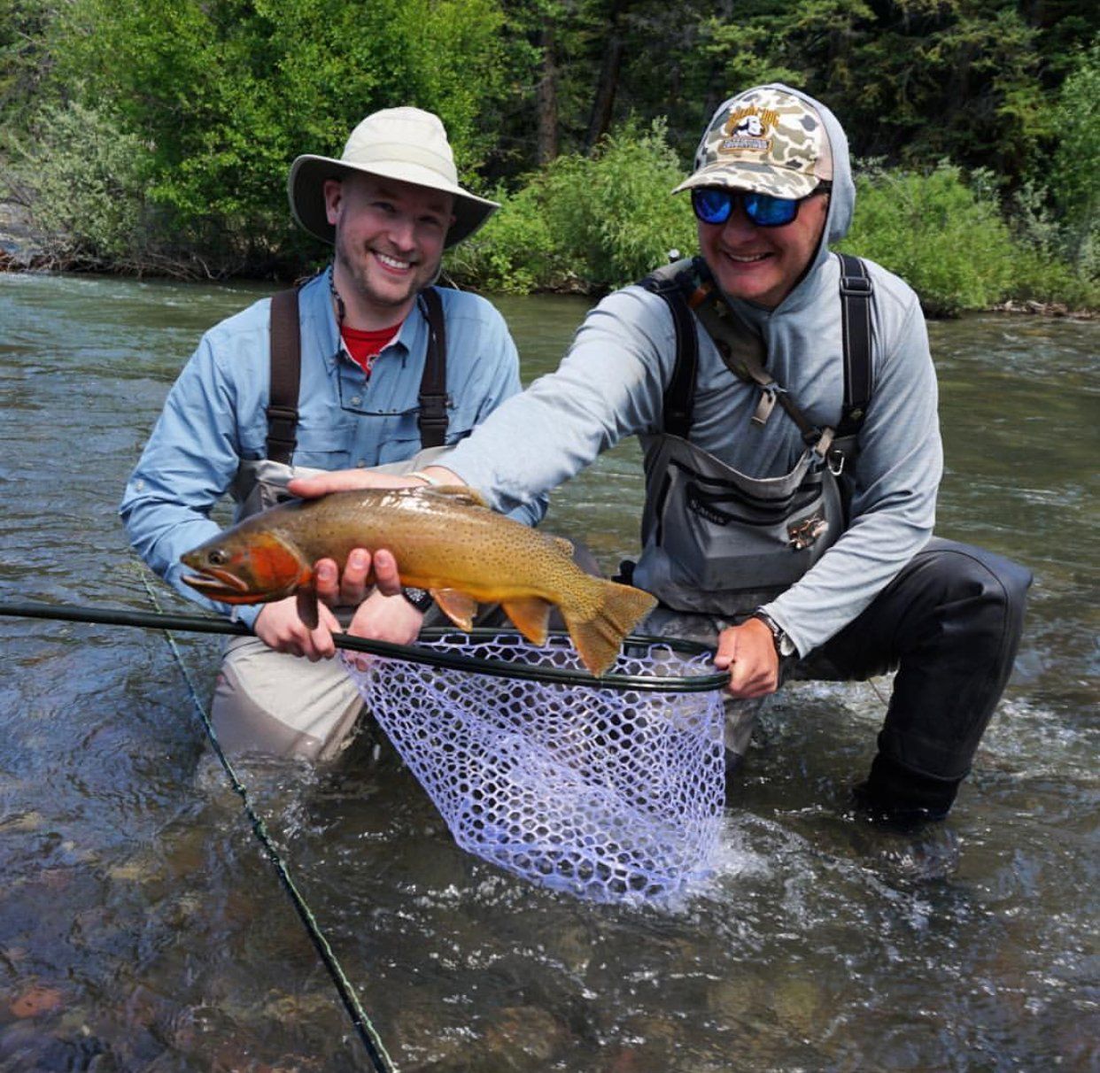 brown trout, cutthroat trout, fly fishing, guiding, Wyoming, dry flies, rainbow trout