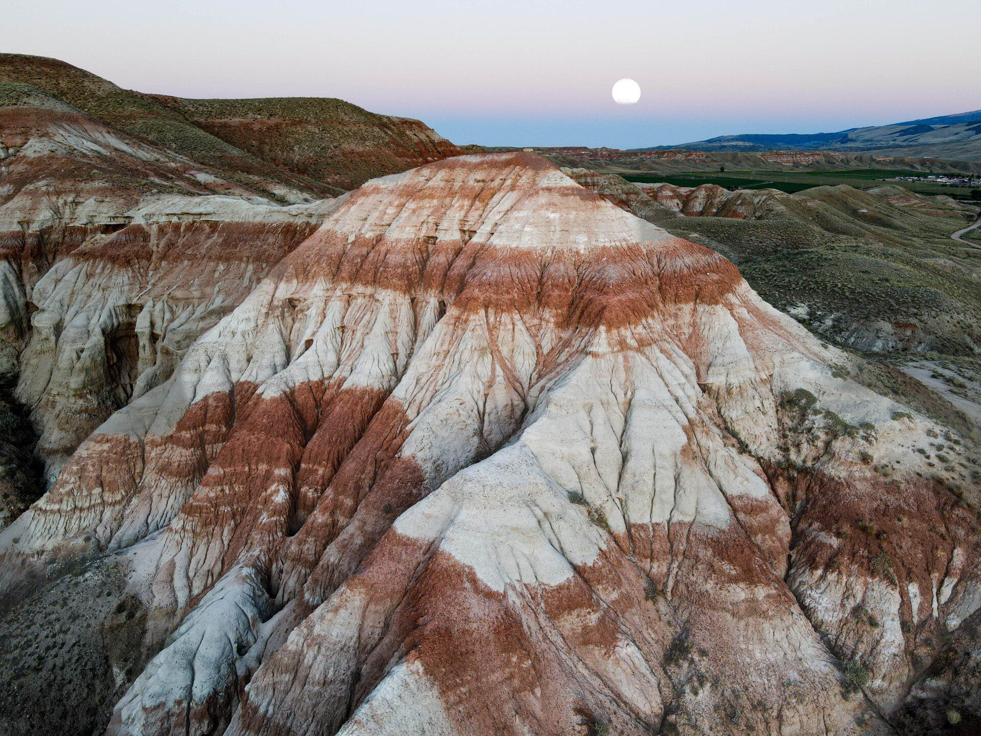brown trout, cutthroat trout, fly fishing, guiding, Wyoming, dry flies