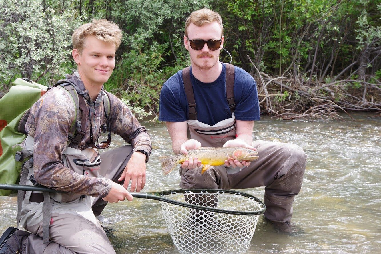 brown trout, cutthroat trout, fly fishing, guiding, Wyoming, dry flies, rainbow trout