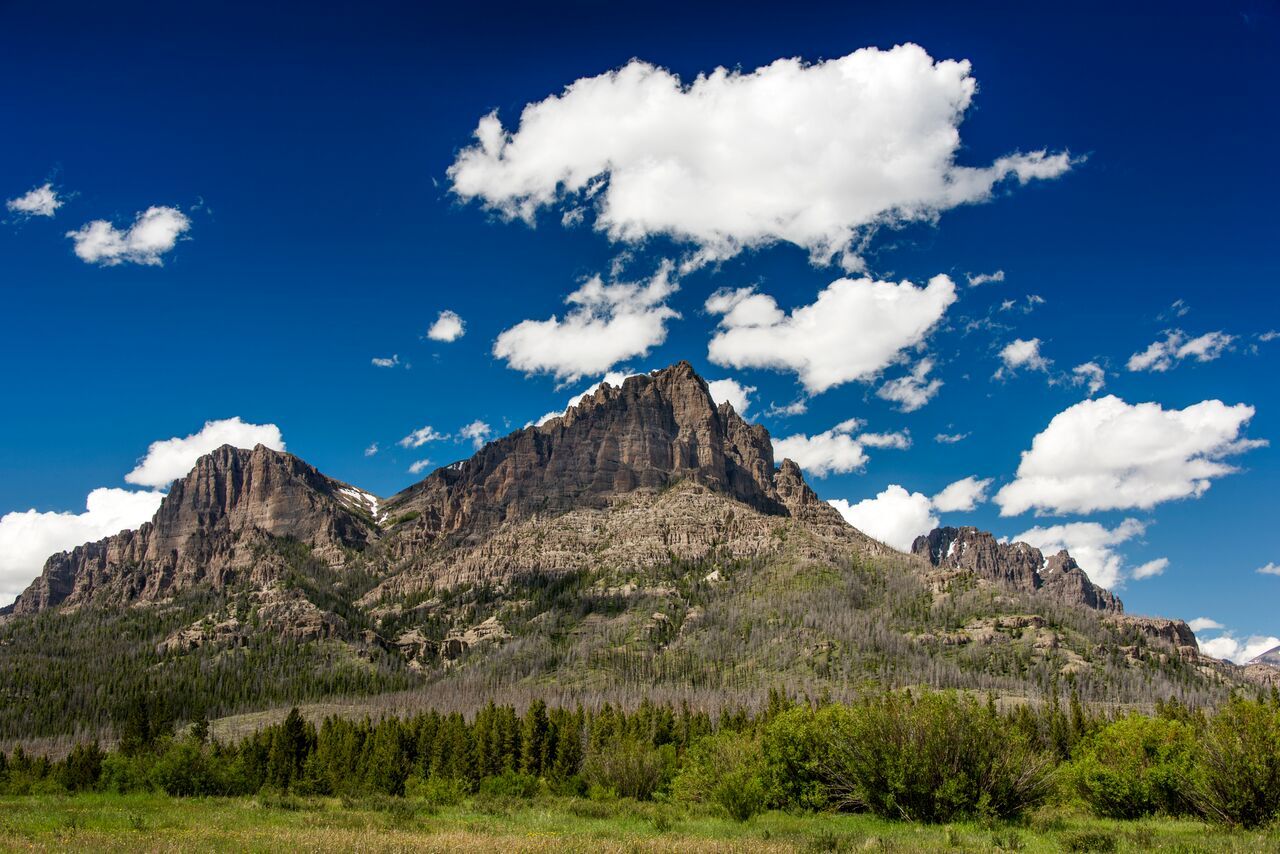 brown trout, cutthroat trout, fly fishing, guiding, Wyoming, dry flies
