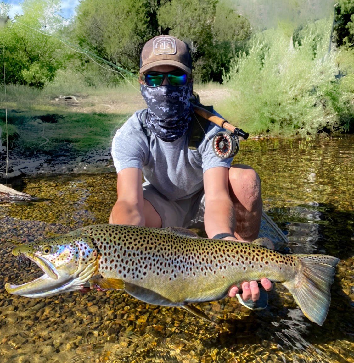 brown trout, cutthroat trout, fly fishing, guiding, Wyoming