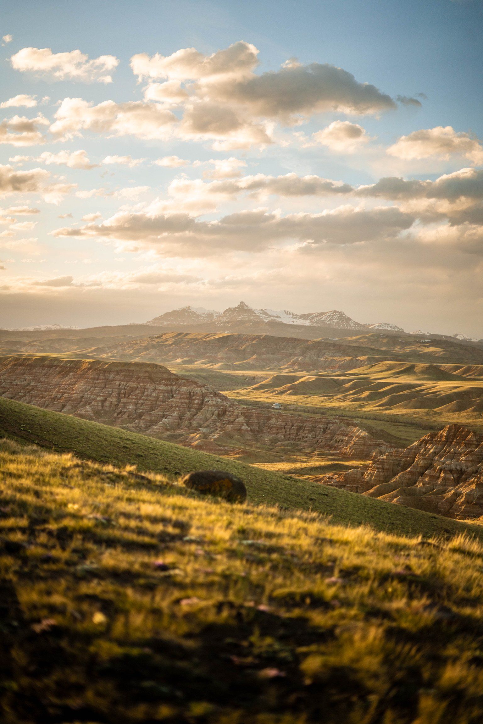 brown trout, cutthroat trout, fly fishing, guiding, Wyoming, dry flies