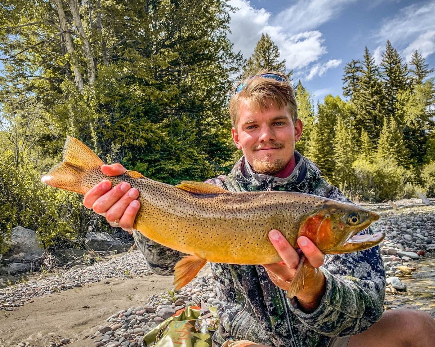 brown trout, cutthroat trout, fly fishing, guiding, Wyoming, dry flies