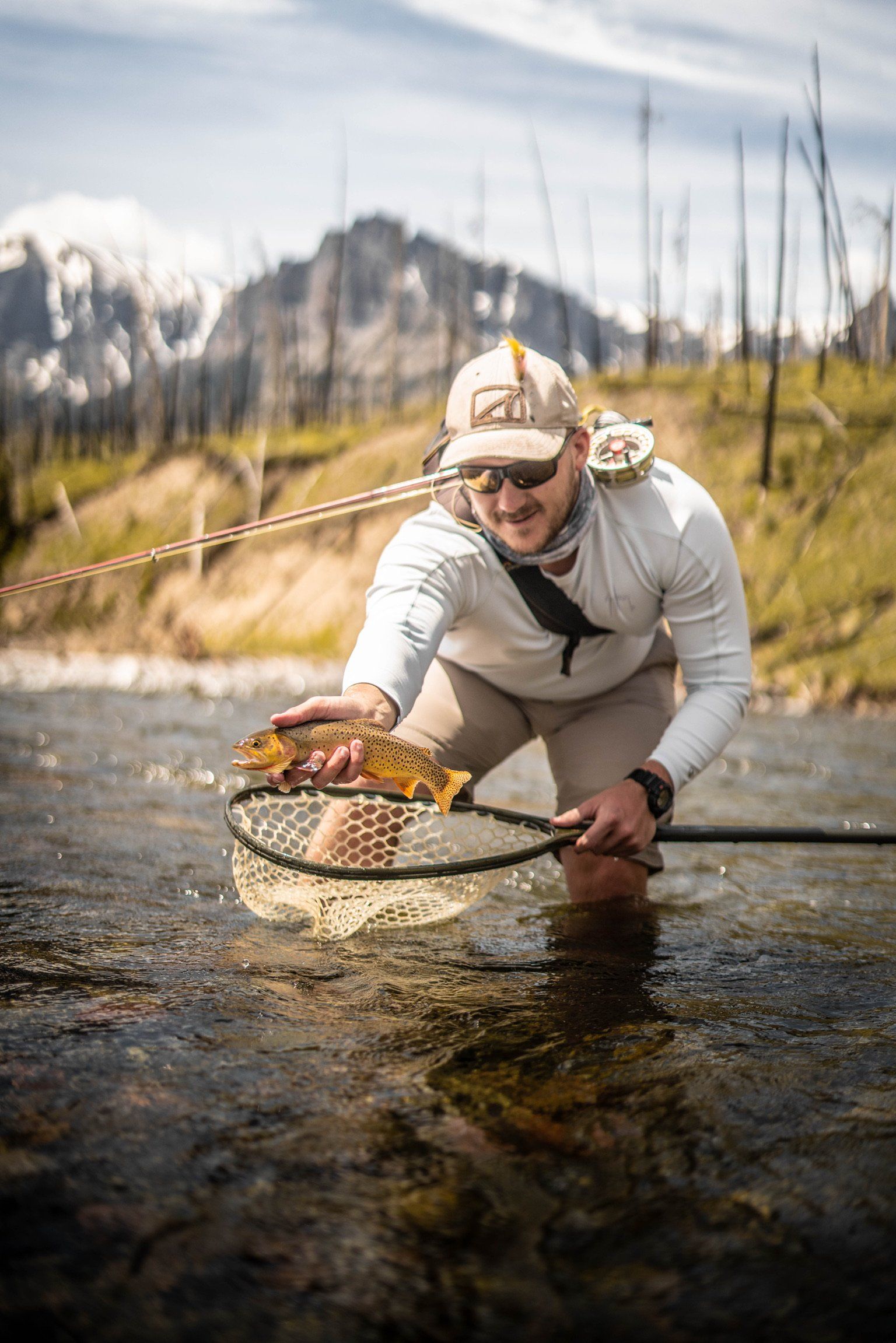 brown trout, cutthroat trout, fly fishing, guiding, Wyoming, dry flies