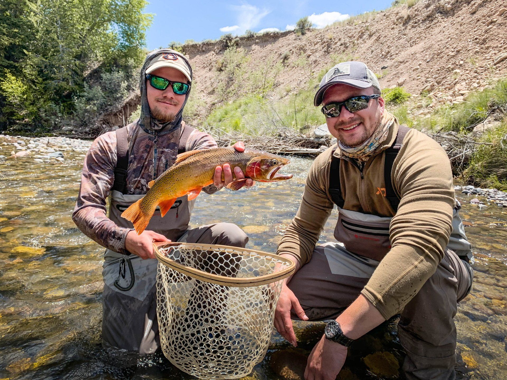 brown trout, cutthroat trout, fly fishing, guiding, Wyoming, dry flies