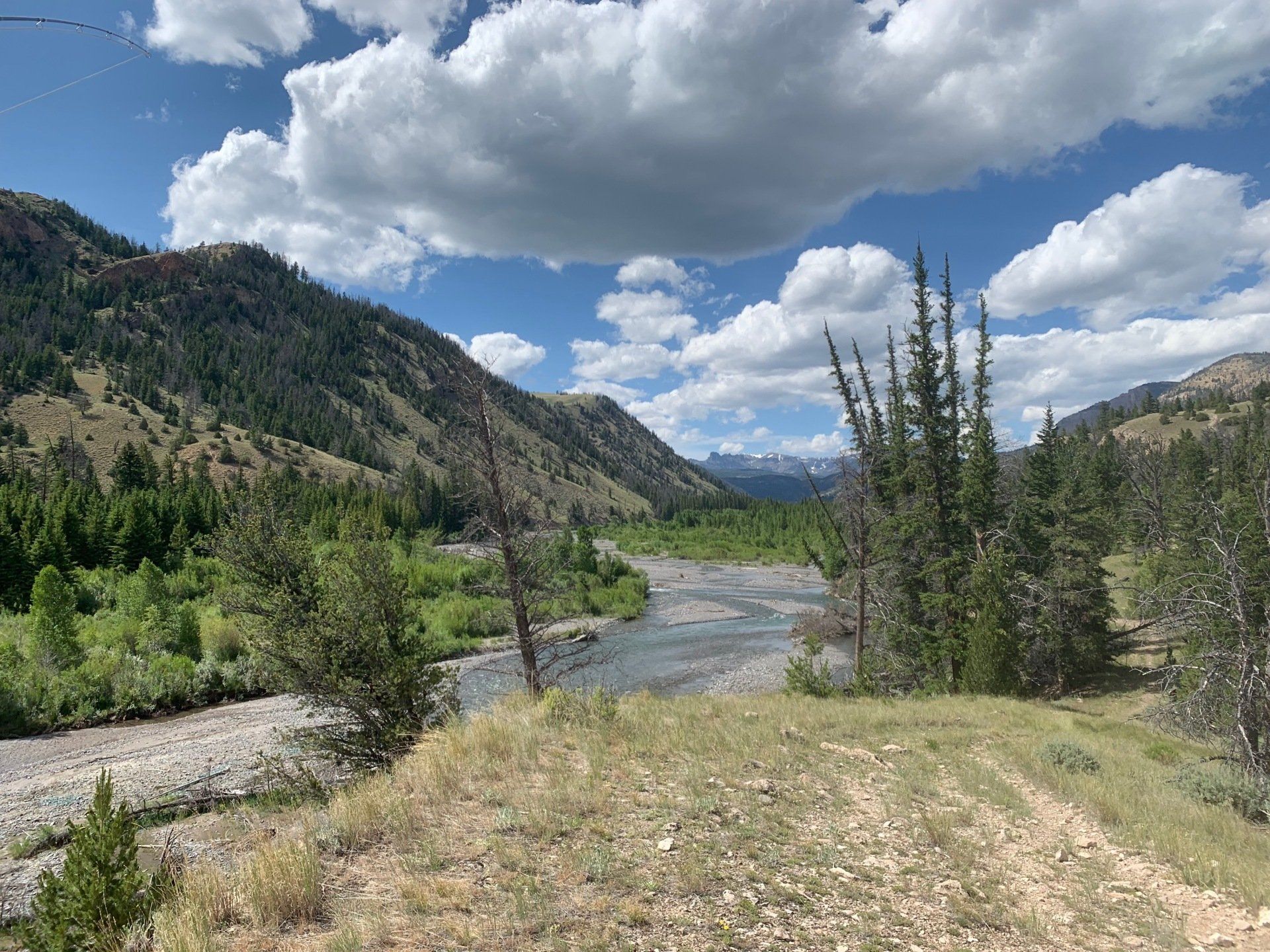 brown trout, cutthroat trout, fly fishing, guiding, Wyoming, dry flies