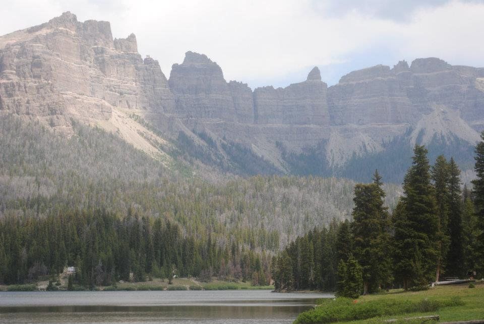 brown trout, cutthroat trout, fly fishing, guiding, Wyoming, dry flies, rainbow trout