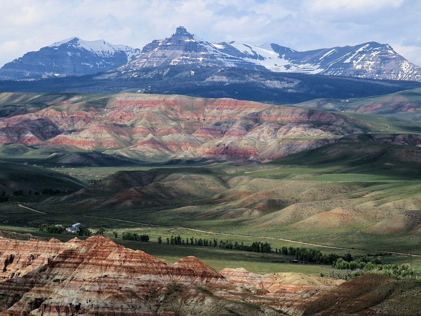 brown trout, cutthroat trout, fly fishing, guiding, Wyoming, dry flies