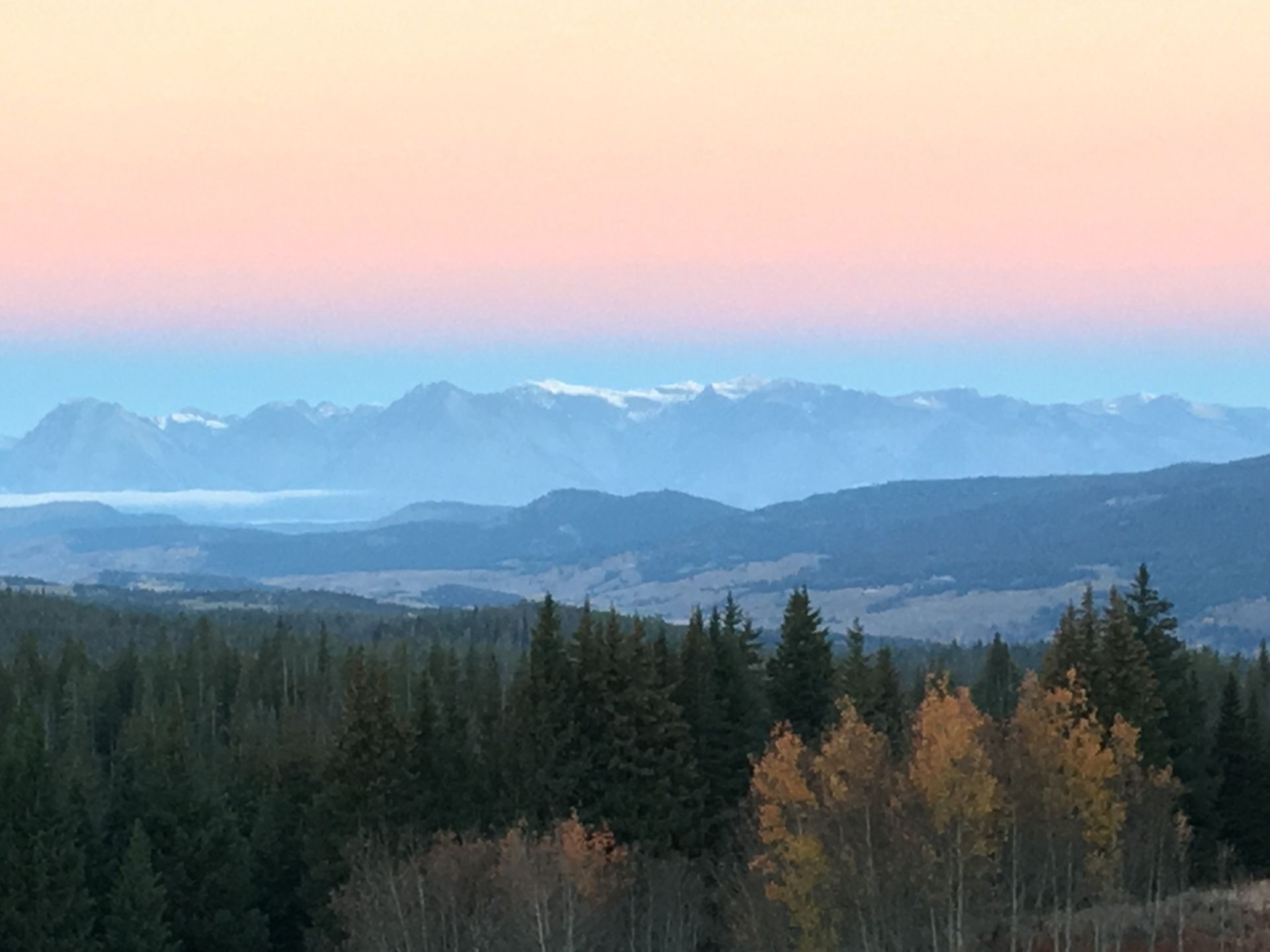 brown trout, cutthroat trout, fly fishing, guiding, Wyoming, dry flies, rainbow trout