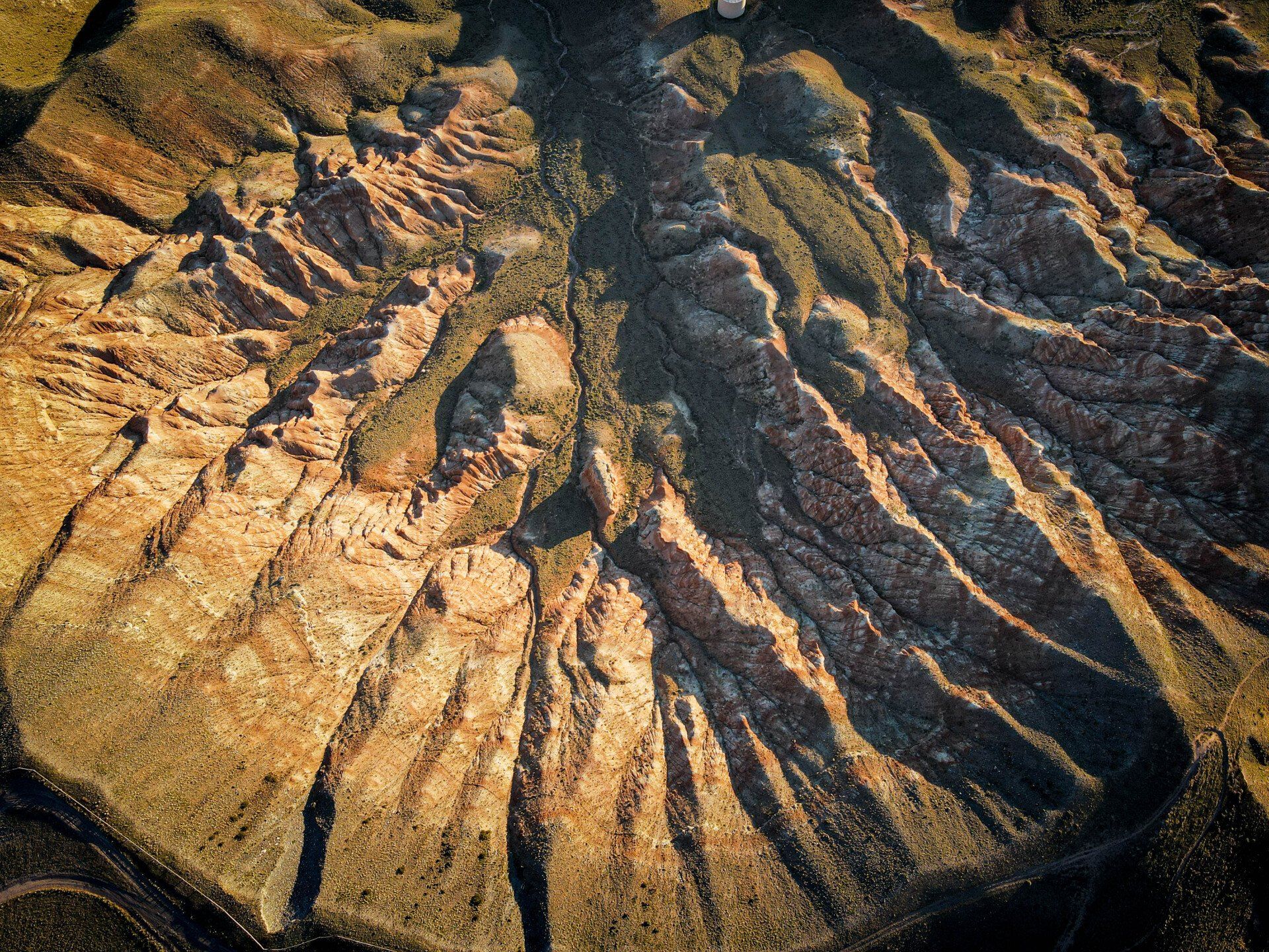 brown trout, cutthroat trout, fly fishing, guiding, Wyoming, dry flies