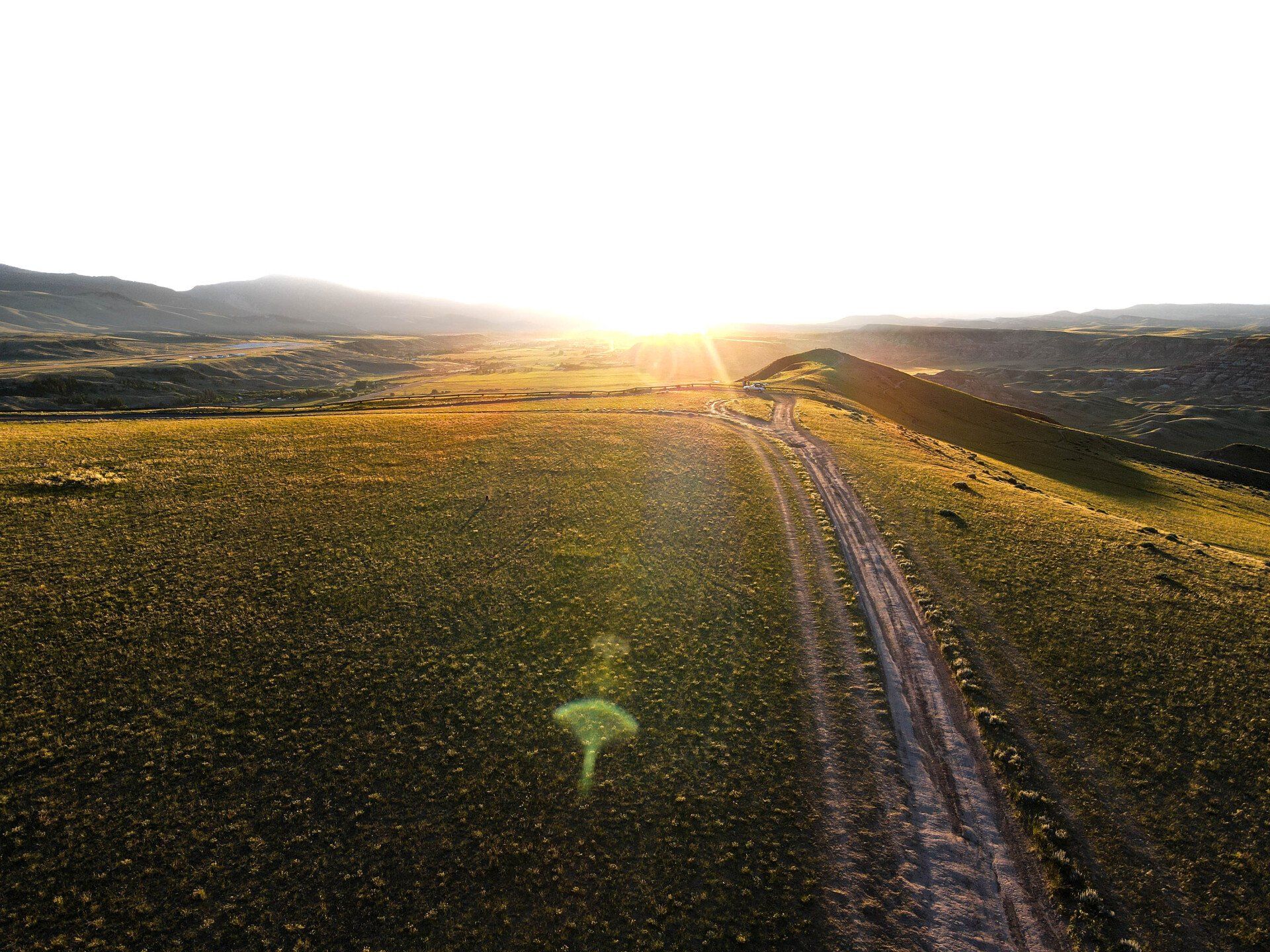 brown trout, cutthroat trout, fly fishing, guiding, Wyoming, dry flies