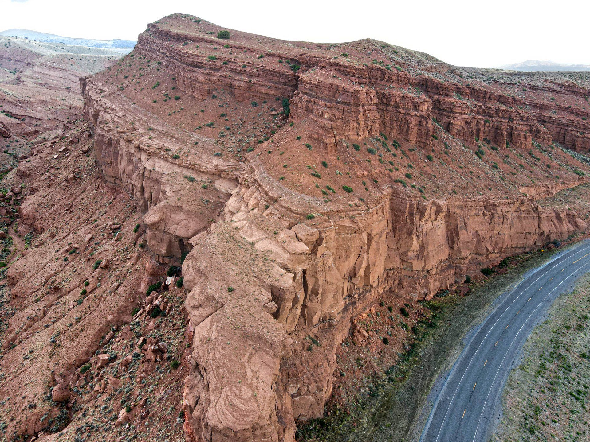 brown trout, cutthroat trout, fly fishing, guiding, Wyoming, dry flies
