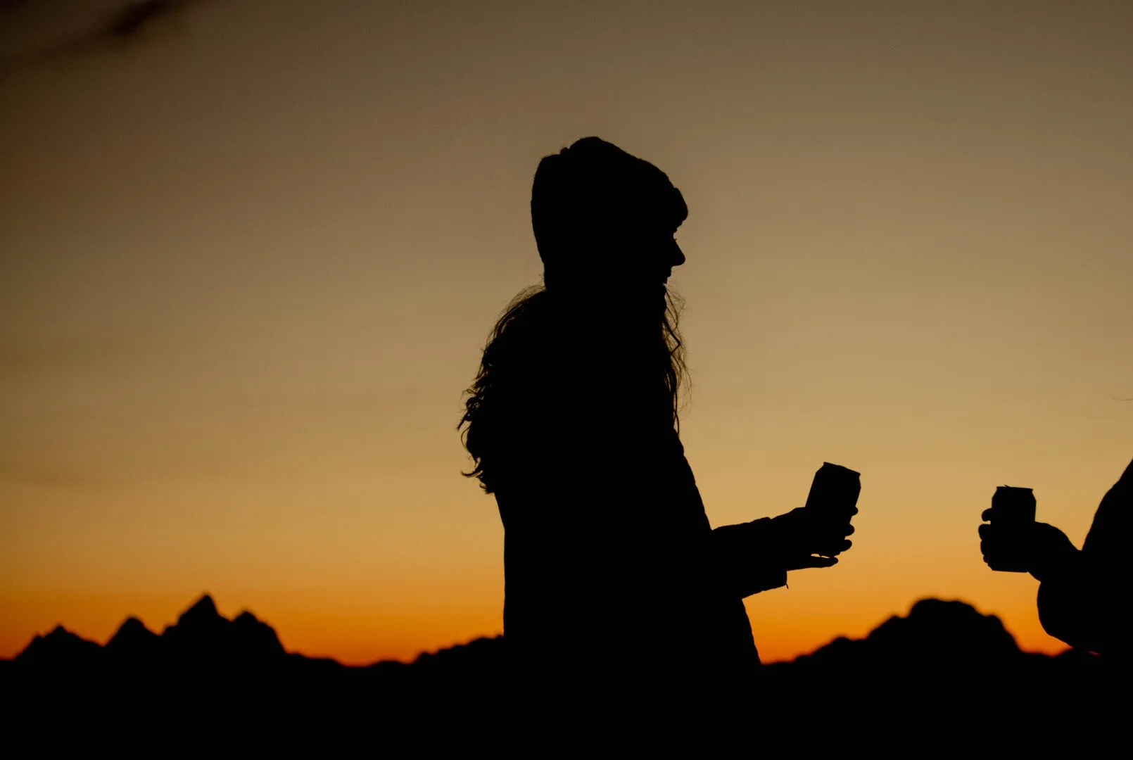 brown trout, cutthroat trout, fly fishing, guiding, Wyoming, dry flies