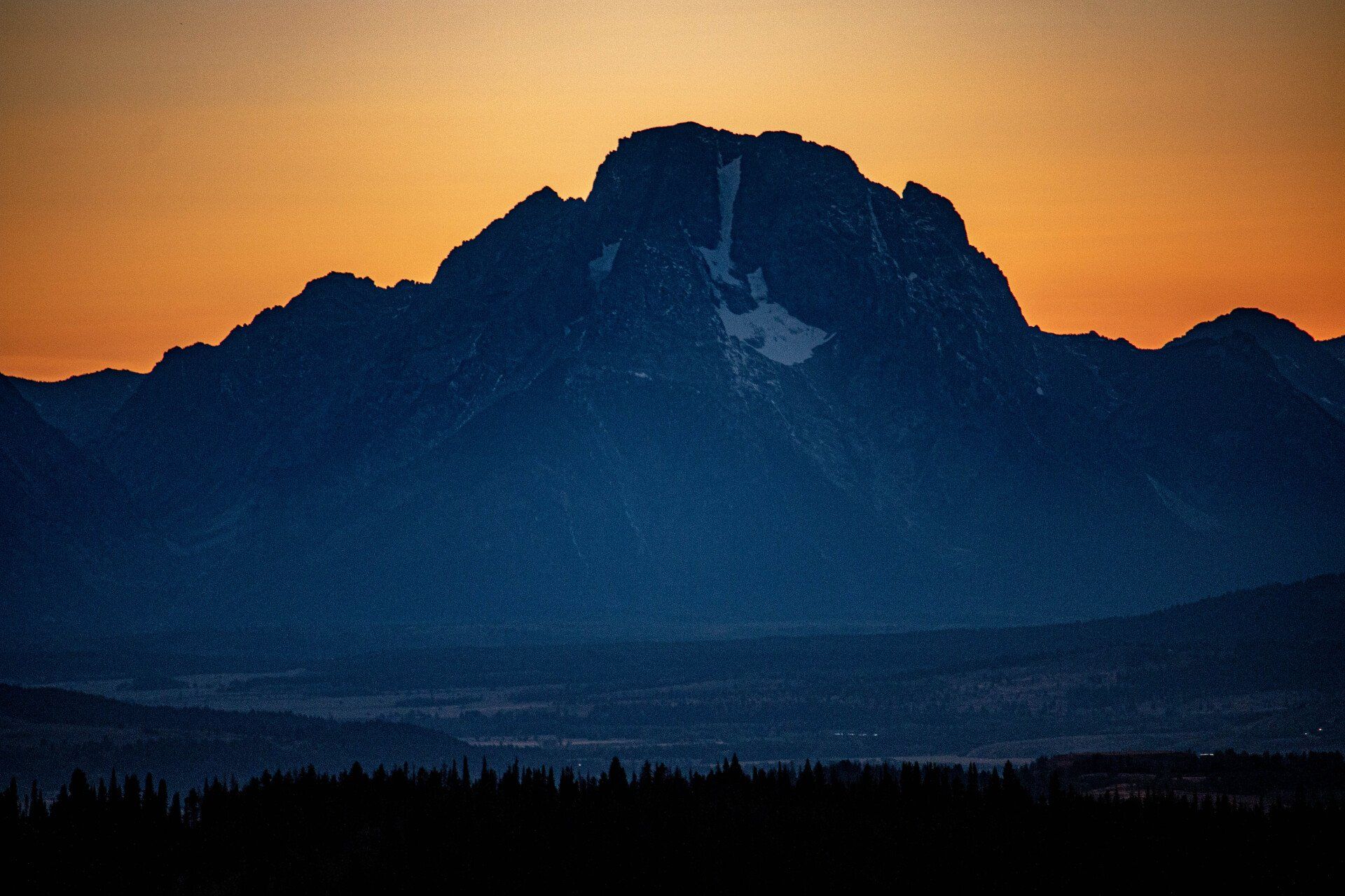 brown trout, cutthroat trout, fly fishing, guiding, Wyoming, dry flies