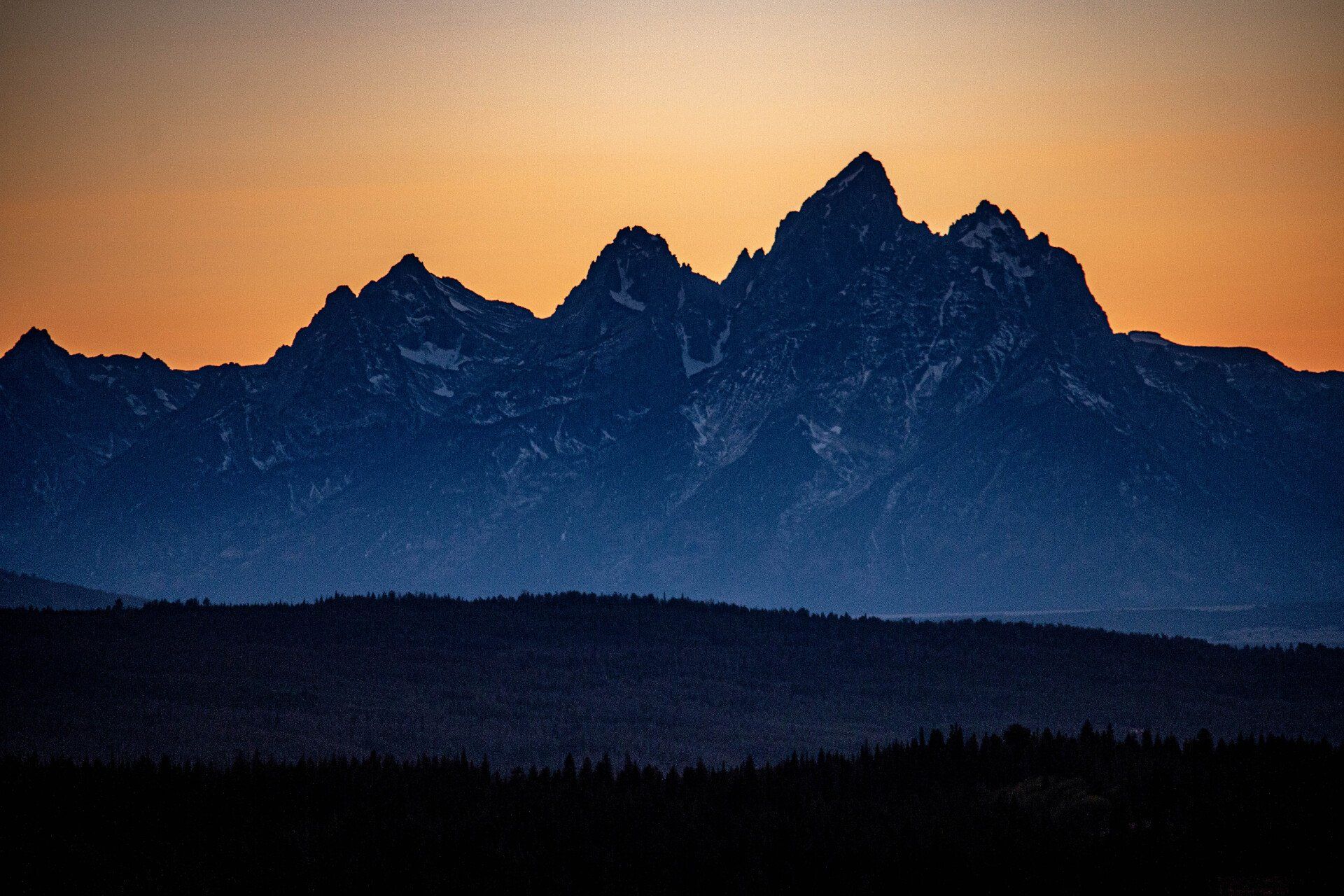 brown trout, cutthroat trout, fly fishing, guiding, Wyoming, dry flies