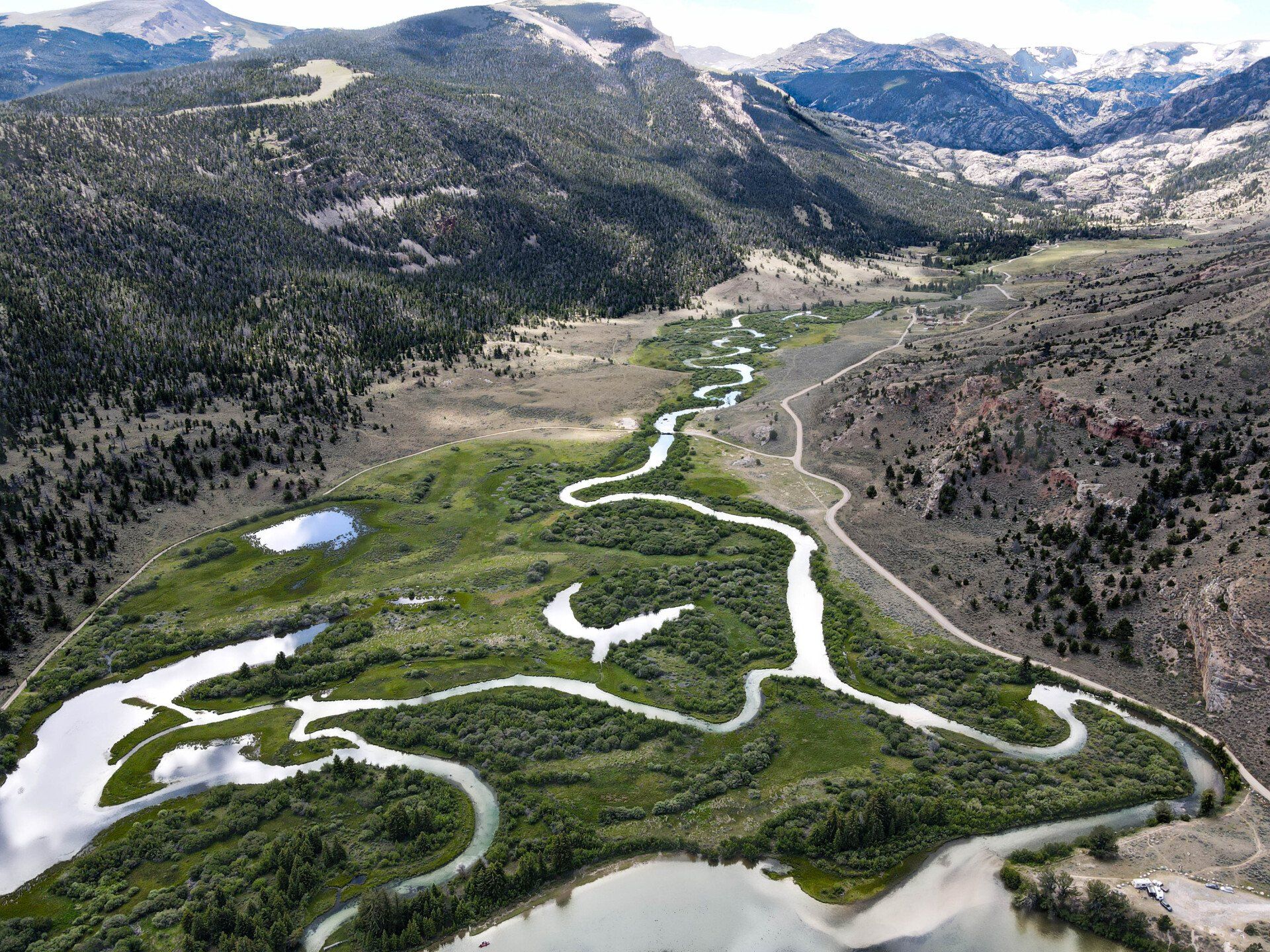 brown trout, cutthroat trout, fly fishing, guiding, Wyoming
