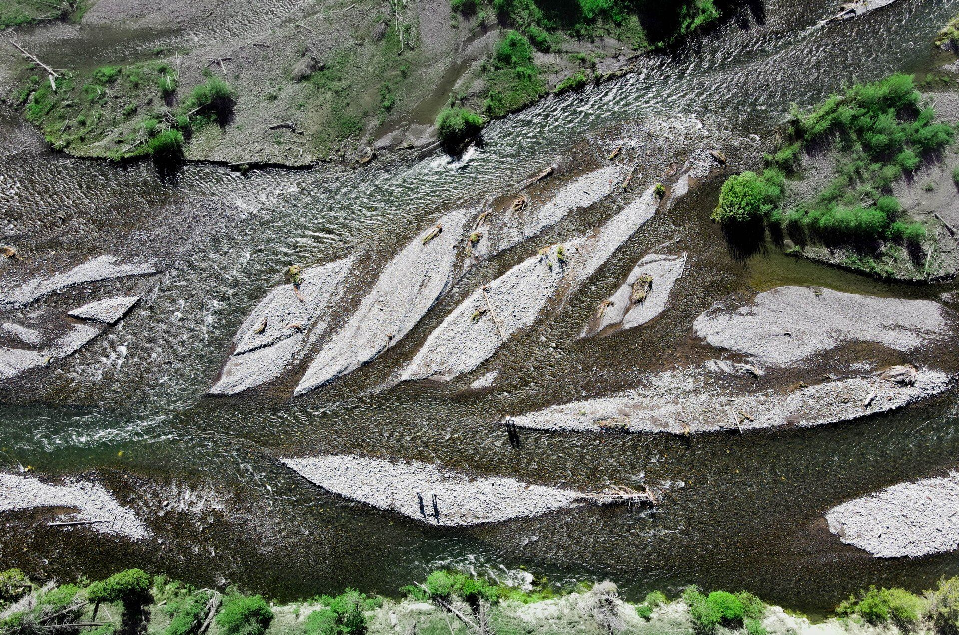 brown trout, cutthroat trout, fly fishing, guiding, Wyoming, dry flies