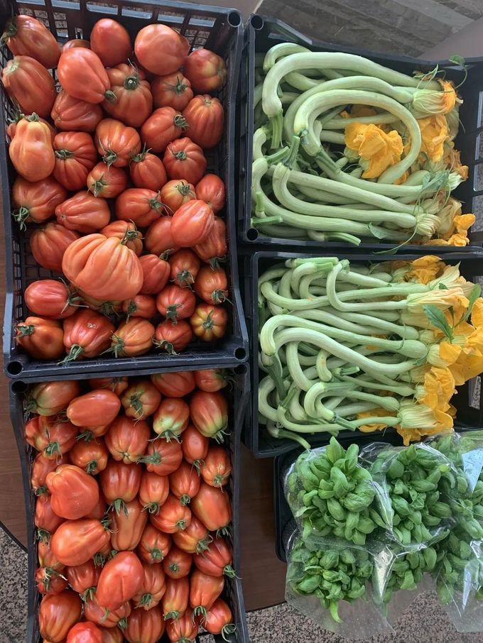 cucina ligure