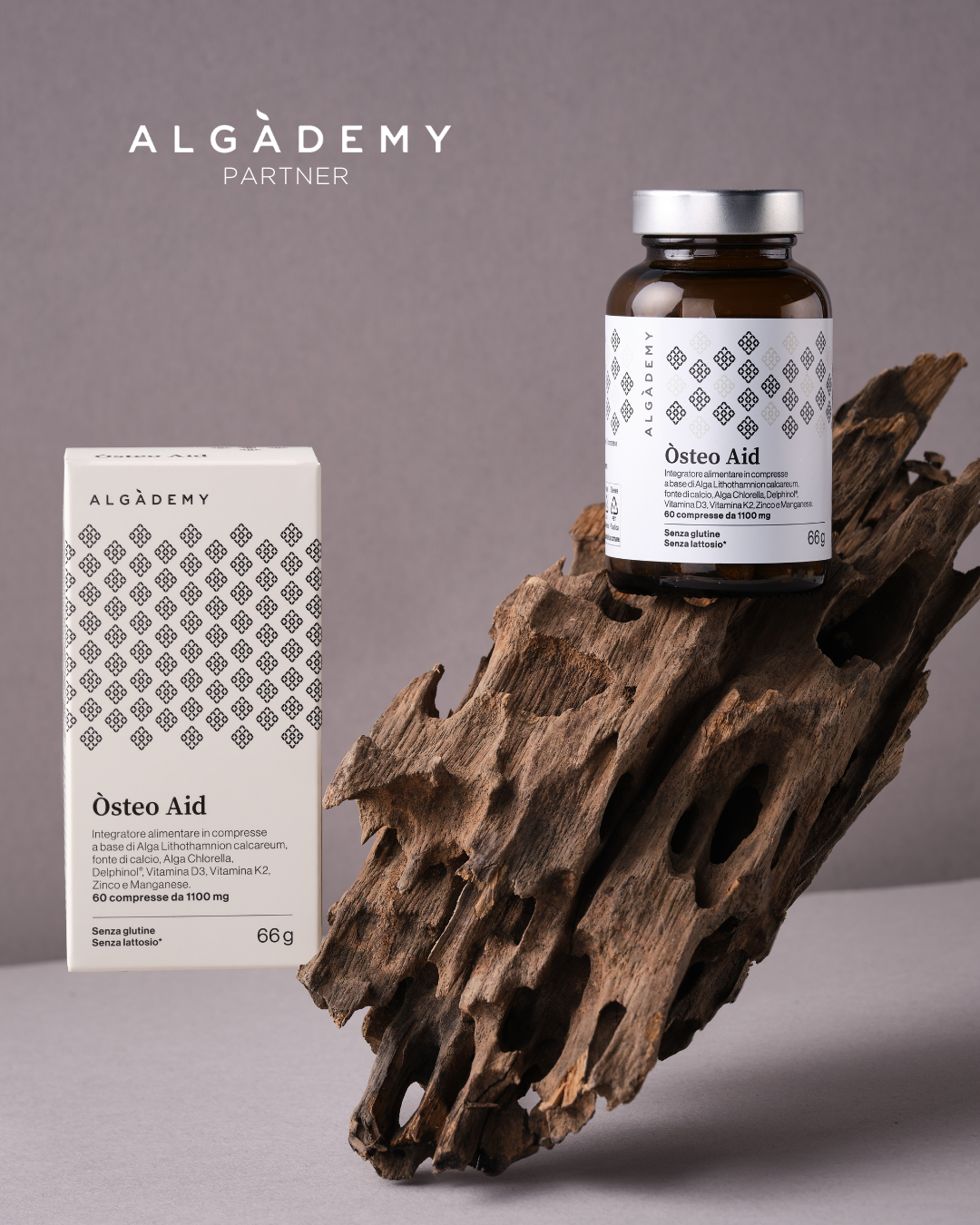 Algademy integratori