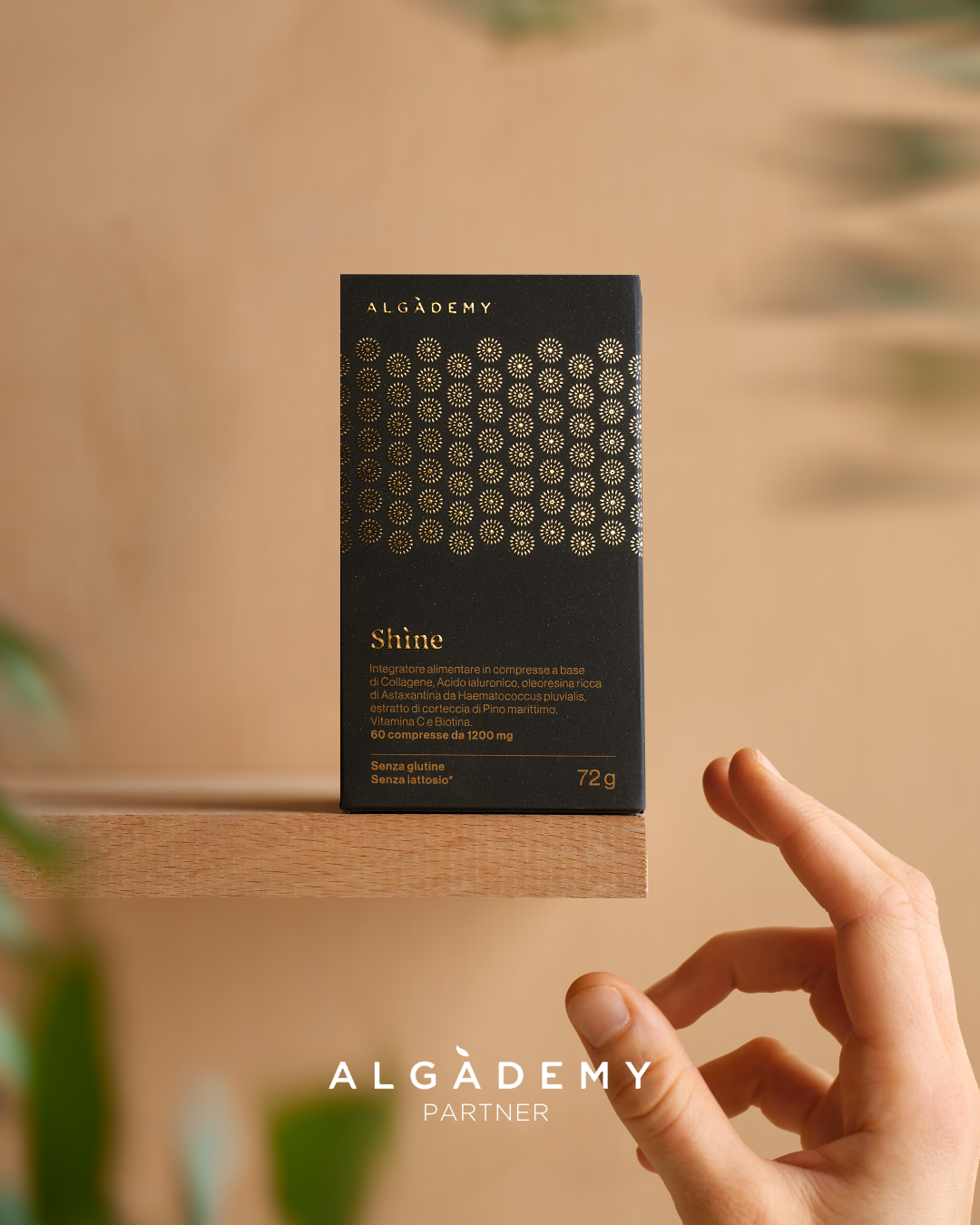 Algademy integratori