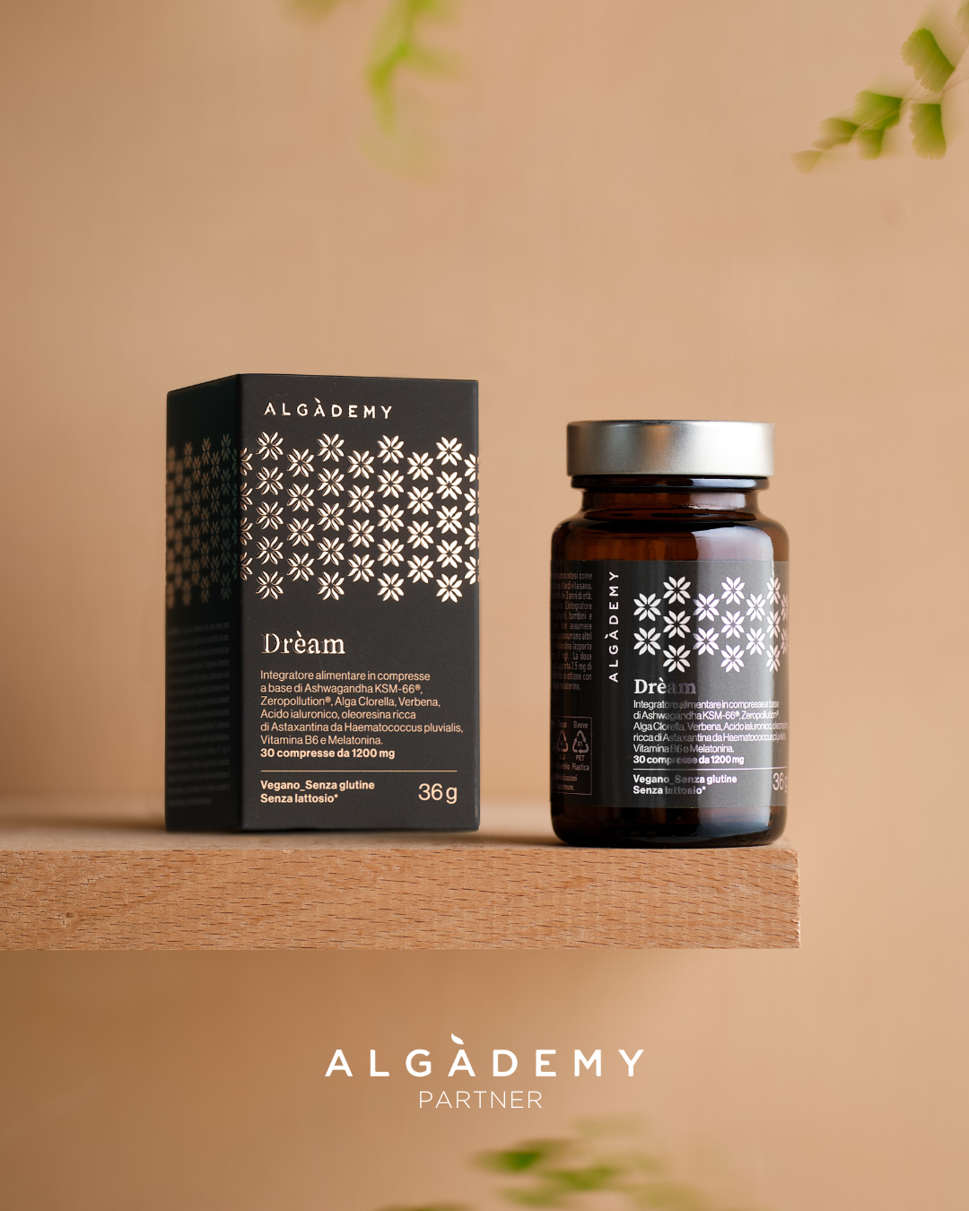 Algademy integratori