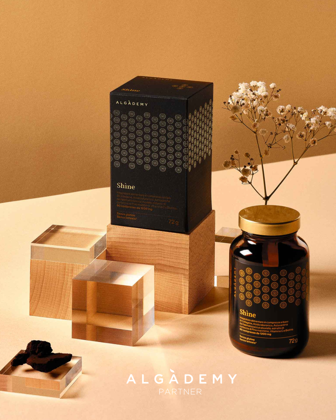 Algademy integratori